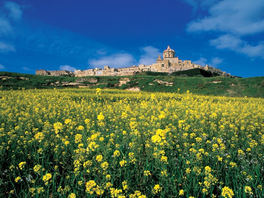 Mdina skyline from a distance in spring.