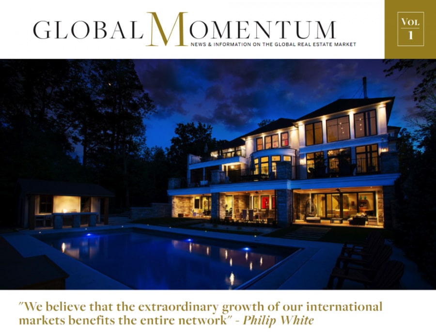 Sotheby's Global Momentum