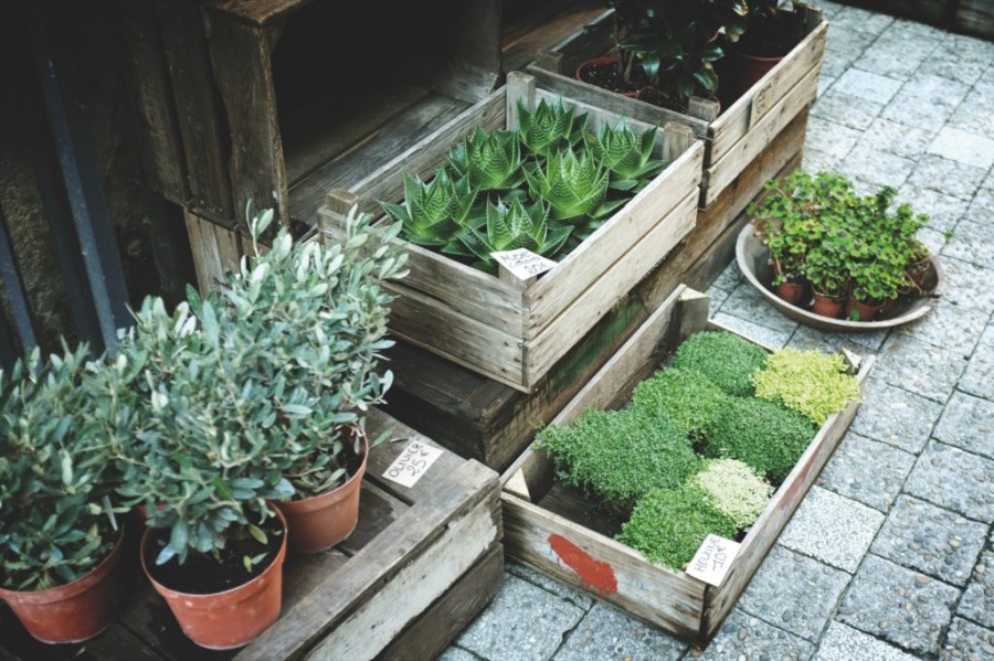 diy flower boxes