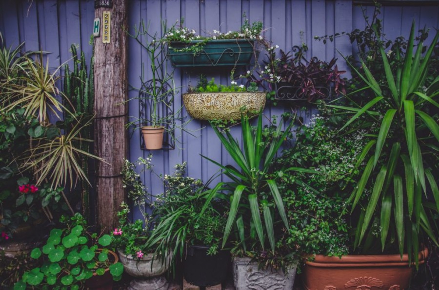 Vertical garden